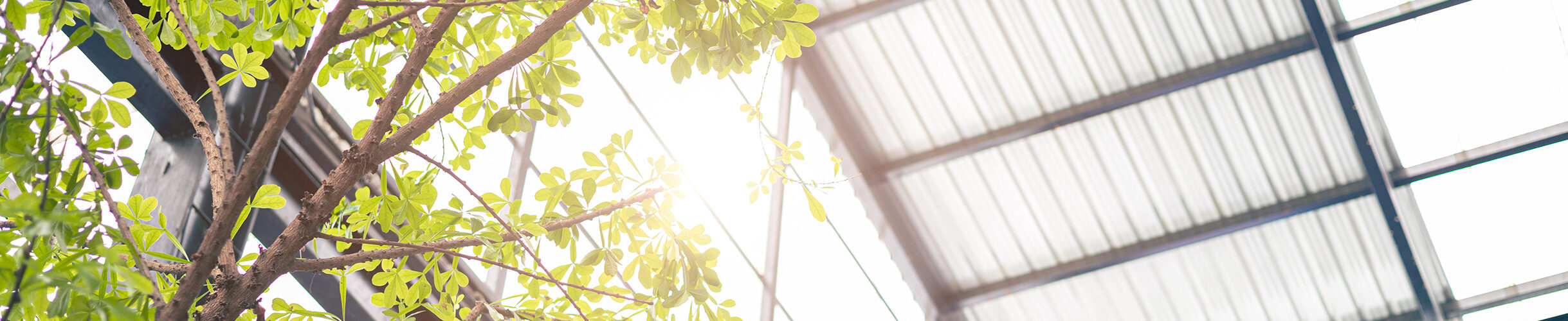 Erxleben Architektur Büro Köln Klimagerechte Architektur